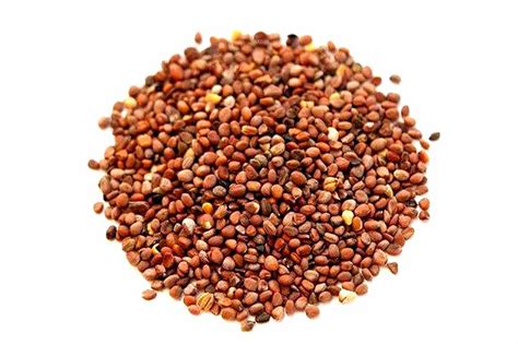 Radish Seed Oil Cold Pressed Carrier Oil