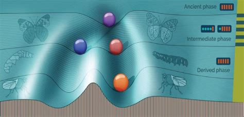 Image result for Simulating Evolution