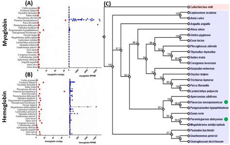Meta-Transcriptomic Analysis of RNAseq Data Reveals Pacu and Loach Fish ...