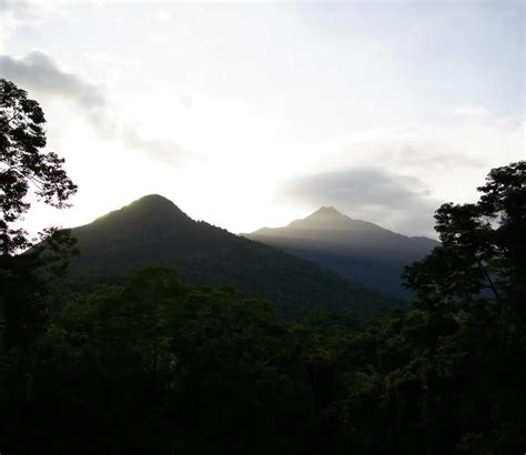 Where is daintree rainforest located in Australia?