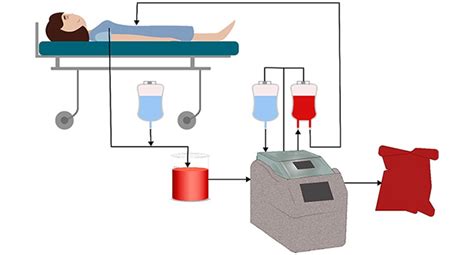 Home | SAKSHAM LMIS - NIHFW