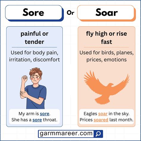 Soar or Sore: Meaning, Difference, and Easy Examples - Grammareer