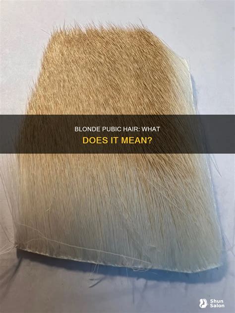 Blonde Pubic Hair: What Does It Mean? | ShunSalon