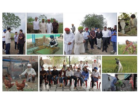 PwC India Foundation strengthens climate Resilient Livelihoods for more ...