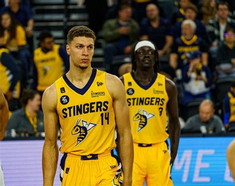 Stingers Vying for Third Straight Win Against Montreal Alliance