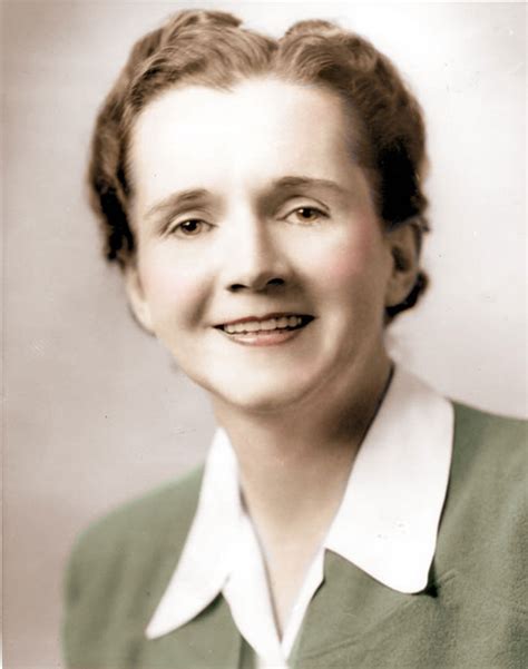 Silent Spring | Rachel Carson’s Environmental Classic | Britannica
