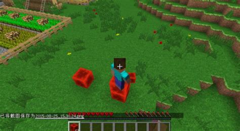 Double Extension Minecraft Java 的图像结果