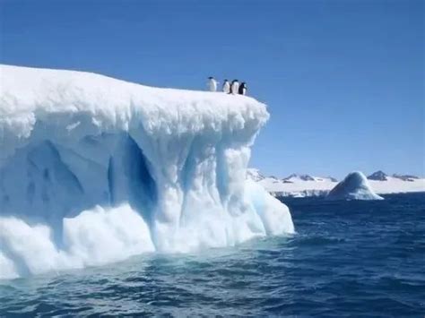 南极洲的阴谋论可能是真的？它真的是通往地心世界入口吗？-科技视频-搜狐视频