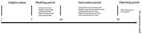 Oat Fiber Alleviates Loperamide-Induced Constipation in Mice by ...