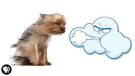 Why Does the Wind Blow? — The Wonder of Science