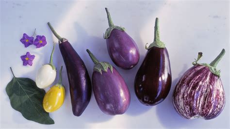 Eggplant Color Varieties
