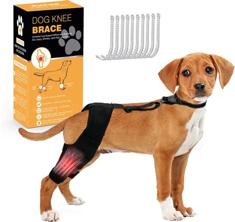 Amazon.com : Dog Knee Brace Dog ACL Brace Hind Leg Dog Knee Brace for Torn ACL Hind Leg with ...