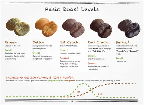 How to Roast Coffee Beans with Flavor: The Complete Guide