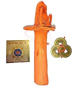 Buy Shreenathji Swetark Ganpati with Aakda ark MUL ganpati Ganesh ...