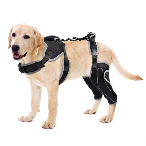 LISPOO Dog Acl Knee Brace for Torn Acl Leg?Luxating Patella?Dog Knee ...