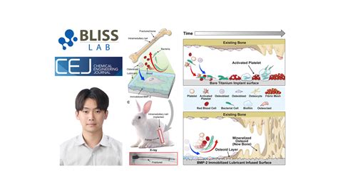 Image result for Chemical Engineering Science Impact Factor