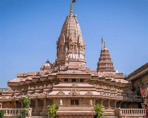 Local Synonym 的图像结果