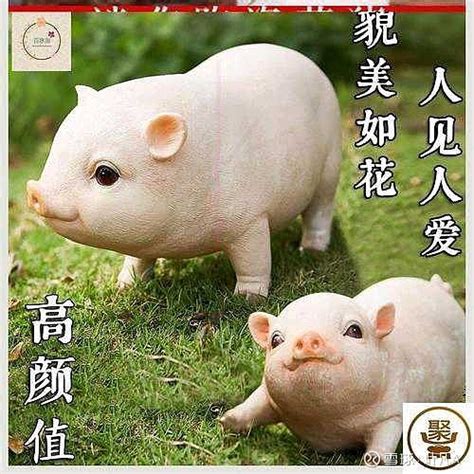 属猪2022年运势及运程 属猪人2022年全年每月运程详解_腾讯新闻