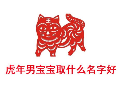 2022年虎年宝宝起名宜用字-2022虎年男孩取名名字大全 - 见闻坊