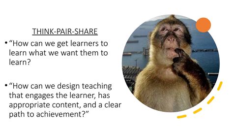 Image result for Constructive Alignment Example