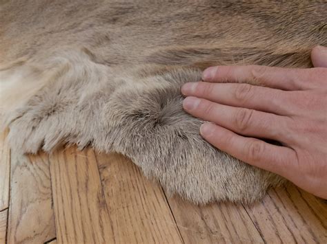Set of 3 large roe deer skin hide area rug luxury living room | Etsy