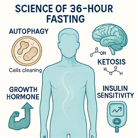 36-Hour Water Fast: (2026) My Hard, Weird, Peaceful Experience ...