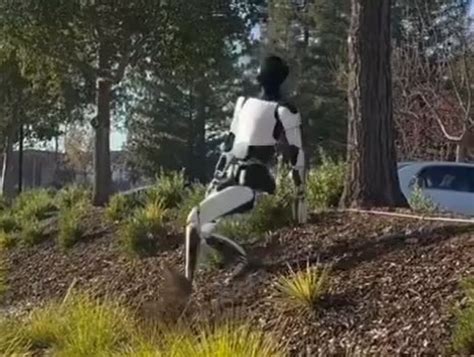 Robot Walking 的图像结果