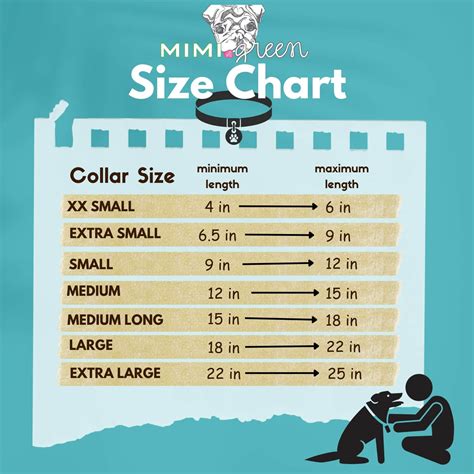 Dog Collar Sizes Dog Collar Size Guide – Stella And Tuffy