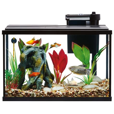5 Gallon Fish Tanks