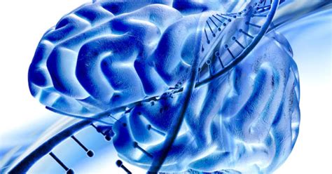 Image result for Neural Tube Defects Causes