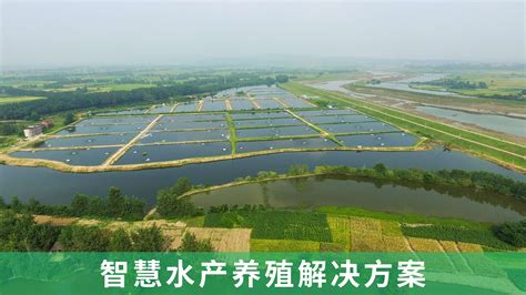 解决方案 / 水产养殖业_萨震压缩机（上海）有限公司官网