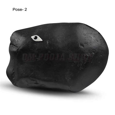 Varaha Shaligram Stone for Protection & Prosperity