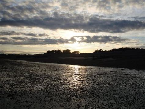 THE BEST Places to Visit in Climping (2026) - Must-See Attractions