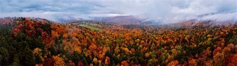 Image result for Relocation Syndrome