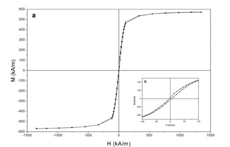 Magnetization 的图像结果