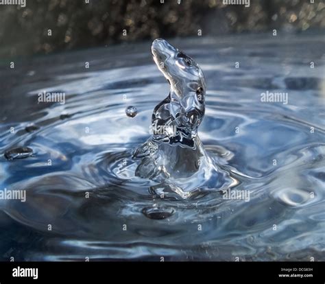 What Is A Drop Of Rain Water at Claire Grissom blog