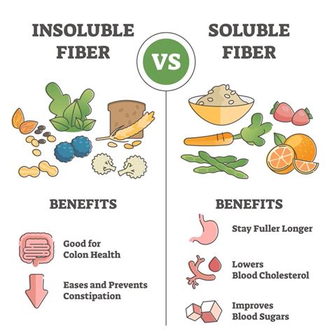Dietary Fiber Foods