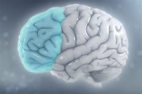 Brain Computer Interface 的图像结果