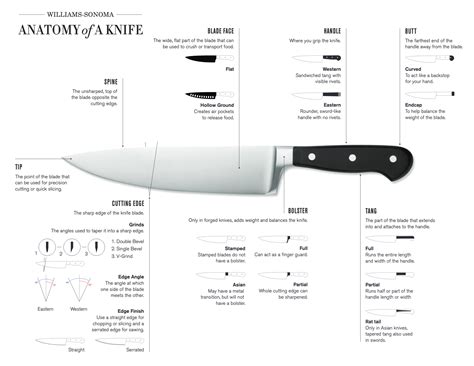 Anatomy Of Knife