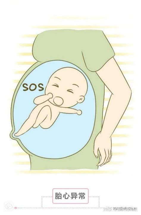 试管胎停育的4种前兆反应，这些明显信号暗示要早看懂_宝宝之家