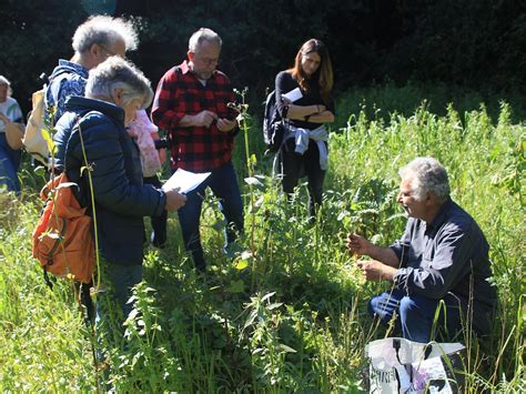 VAMOS VILLAGE - THE OLIVE OIL PATH (2026) All You Need to Know BEFORE ...