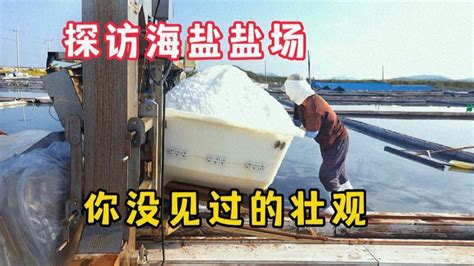 福盐集团圆满举办“清新福建 生态海盐”首届生态海盐文化节 - 社会 - 东南网