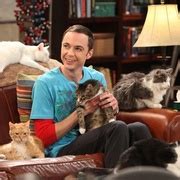 生活大爆炸 第四季 The Big Bang Theory Season 4 | SeedHub