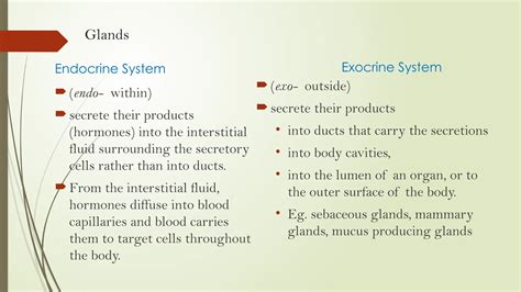 Adrenal Gland ENDOCRINE AND EXOCRINE SYSTEMS | PPTX
