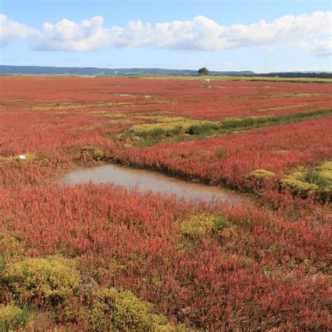 UBARANAI SANGO-SO COLONY Guide (2026) All You Need to Know BEFORE You ...