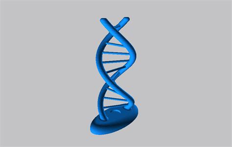 双螺旋DNA模型 by zbeiping - 3D打印模型文件免费下载模型库 - 魔猴网