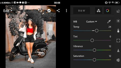 LR Tutorial Editing 的图像结果
