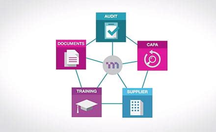 Image result for Master Control Quality Management System