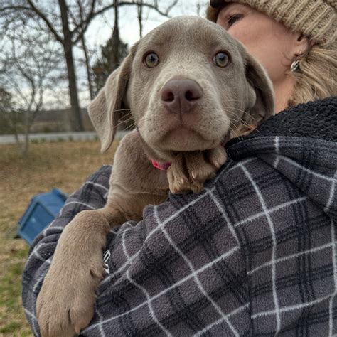 Wolf Trap Animal Rescue | What a weekend we’ve had over here at WTAR ...