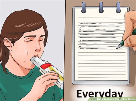 Image result for Peak Flow Meter Chart How to Use